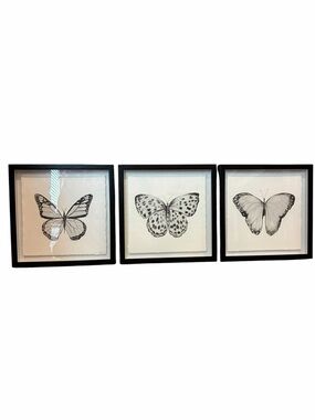 11" Marmont Hill Butterfly Trio ll Shadowbox Frame Sketches Black and White Bugs